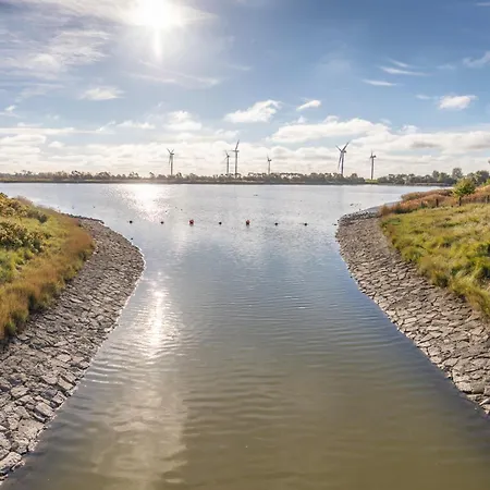 Idyllische Kleine Reetdachkate Mit Blick über Felder - Kamin, Terrasse&privatparkplatz Ferienhaus